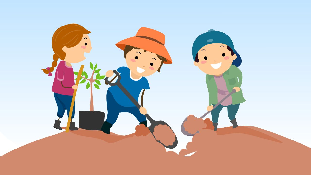 Rewild Your School: Simple Steps to Bring Nature Back into the Playground
