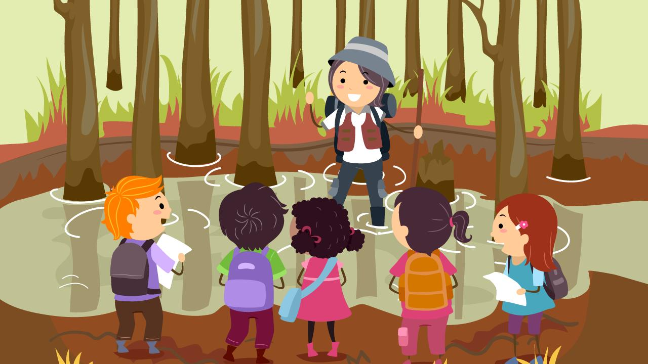 Autumn Adventures: Kick-Starting the School Year with Active Outdoor Learning